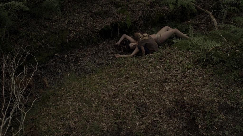 クレルモンフェラン-国際短編映画祭 - 2013