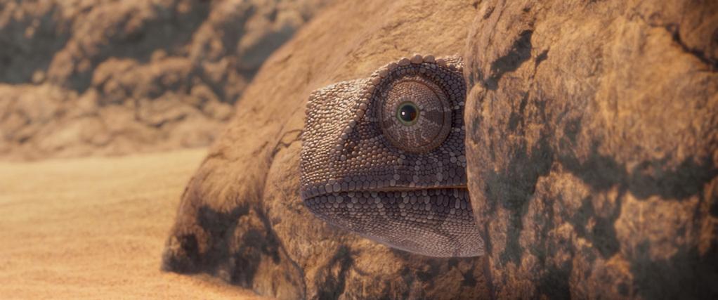 Hors course Hors course