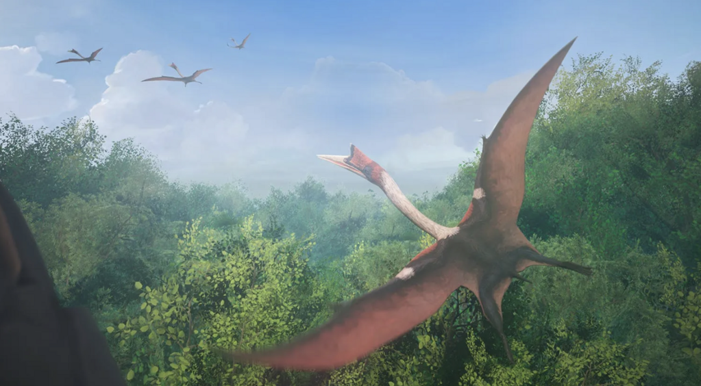 Mondes Disparus Mondes Disparus