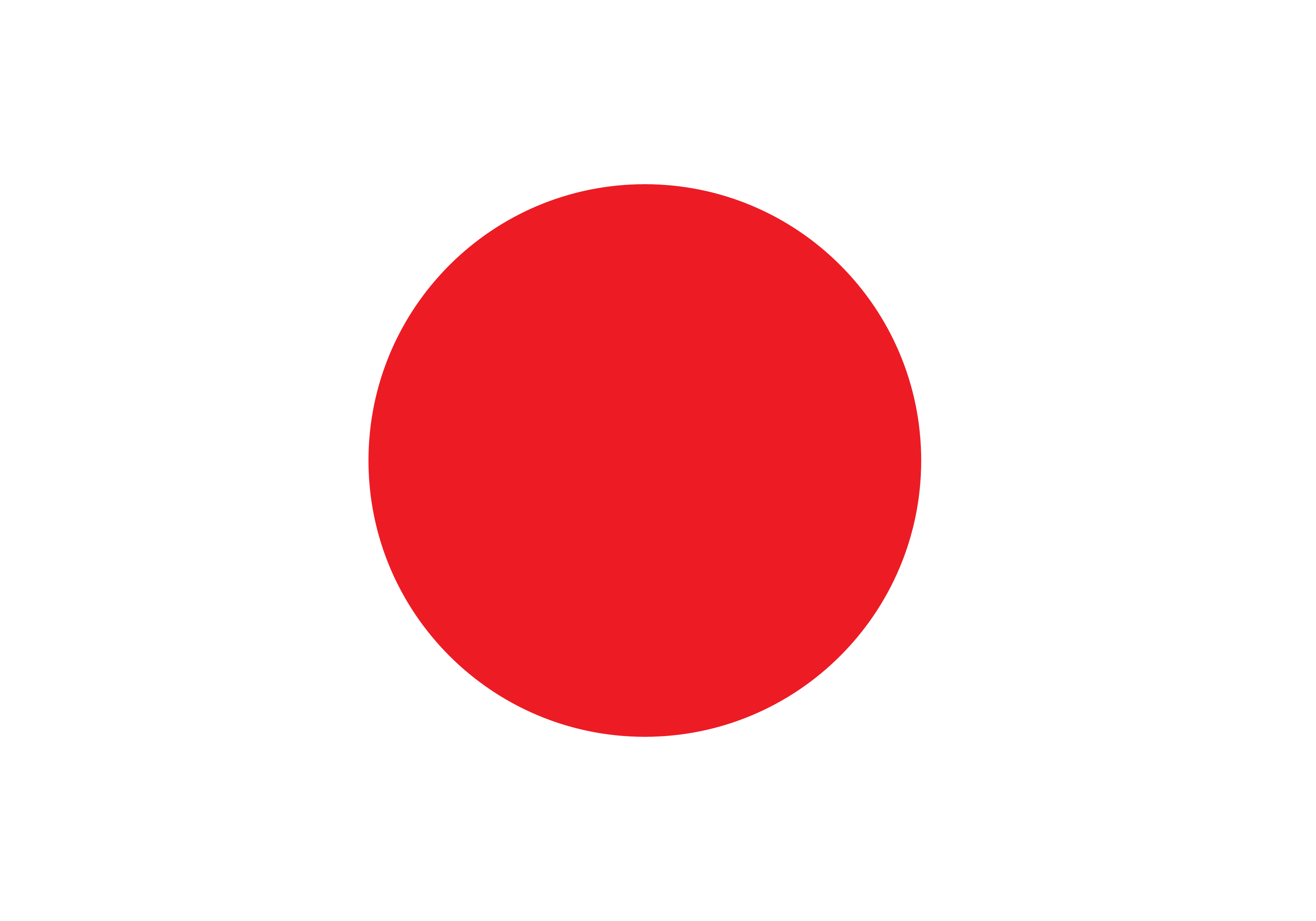 Market Report: Japan 2010