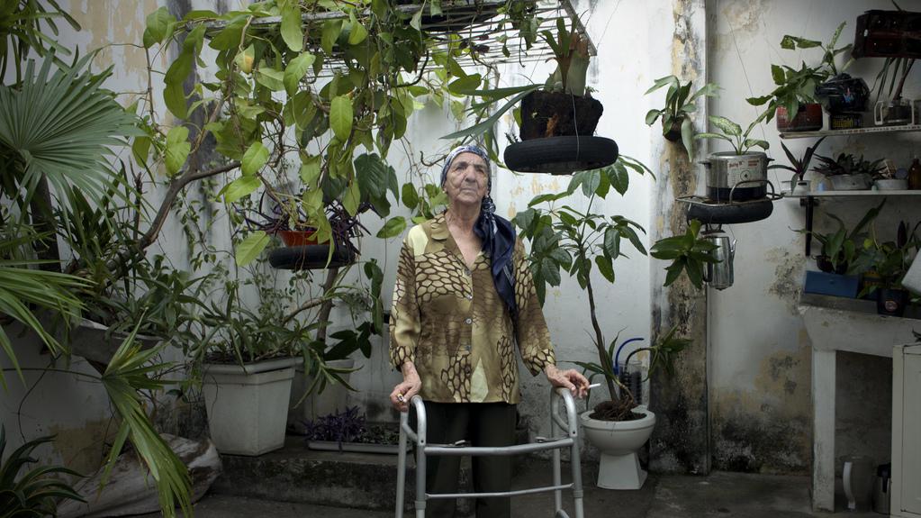 Rio de Janeiro International Film Festival - 2014