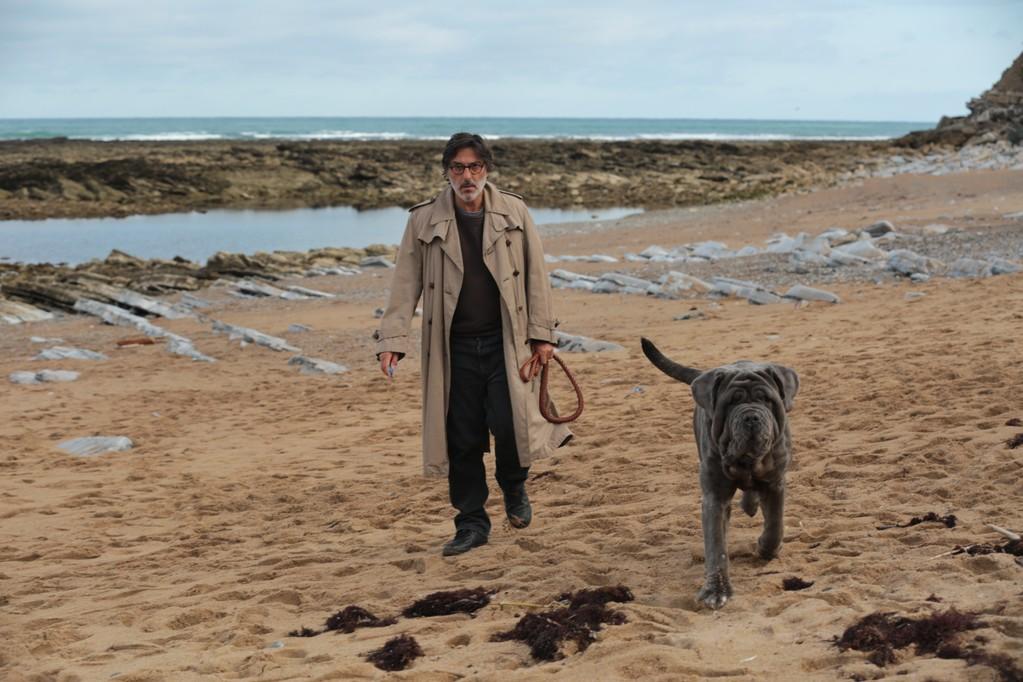 The Alliance Fran&ccedil;aise French Film Festival - 2020