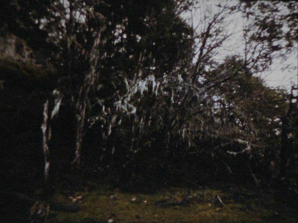 La Partida de las omágenes La Partida de las omágenes