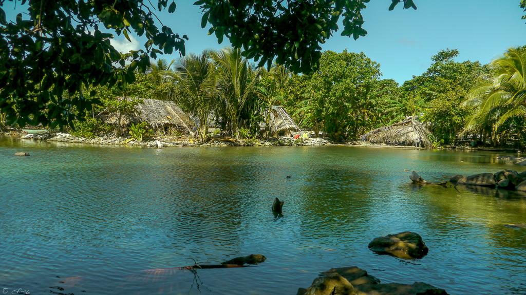 Nous, Tikopia Nous, Tikopia