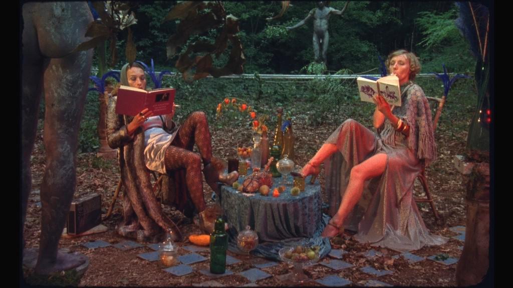 Notre-Dame des hormones Notre-Dame des hormones