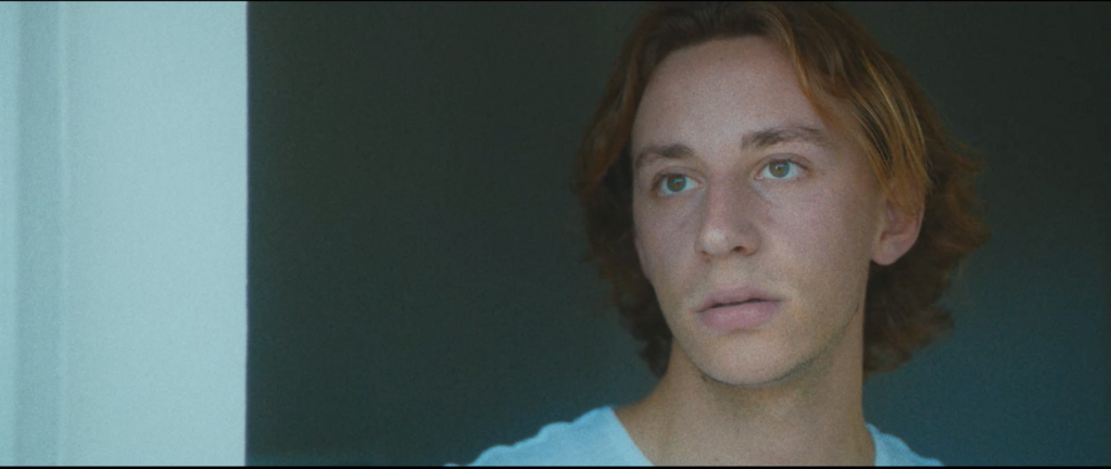 Les Papillons Les Papillons