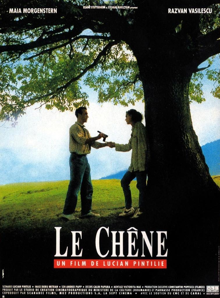 Le Chêne Le Chêne