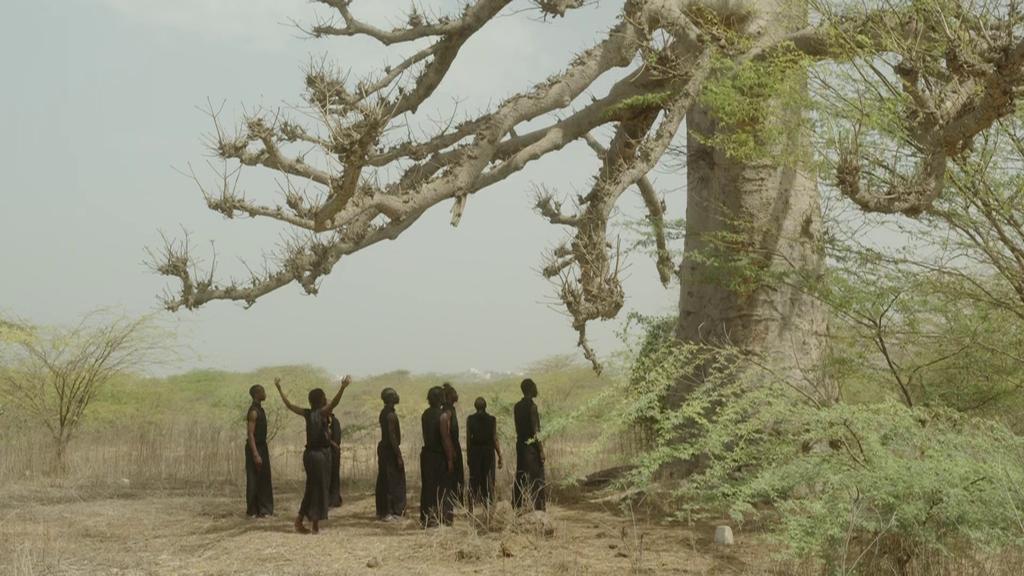 Germaine Acogny: L'Essence de la danse Germaine Acogny: L'Essence de la danse