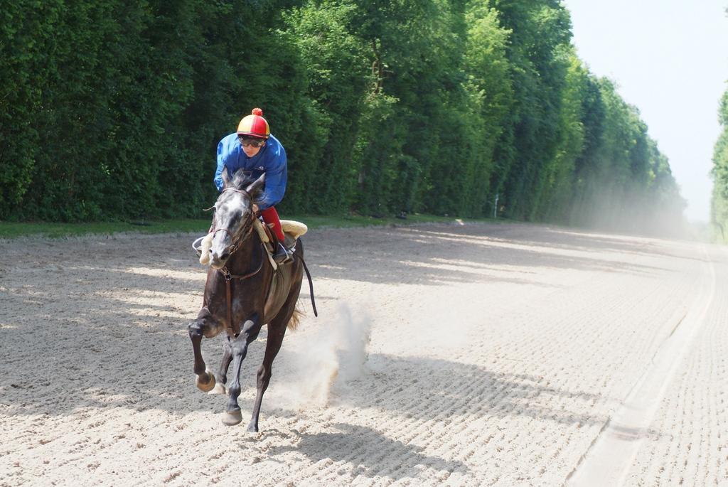 東京発:『ジョッキーを夢見る子供たち』公開情報! 東京発:『ジョッキーを夢見る子供たち』公開情報!