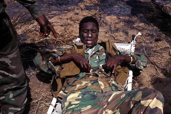 TIFF (Toronto International Film Festival) - 2004