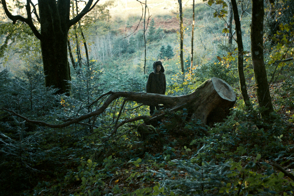 G&euml;inst - &copy; Les Films du Worso