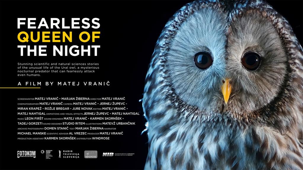 Fearless Queen Of The Night Fearless Queen Of The Night