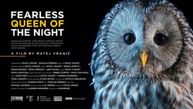 Fearless Queen Of The Night Fearless Queen Of The Night