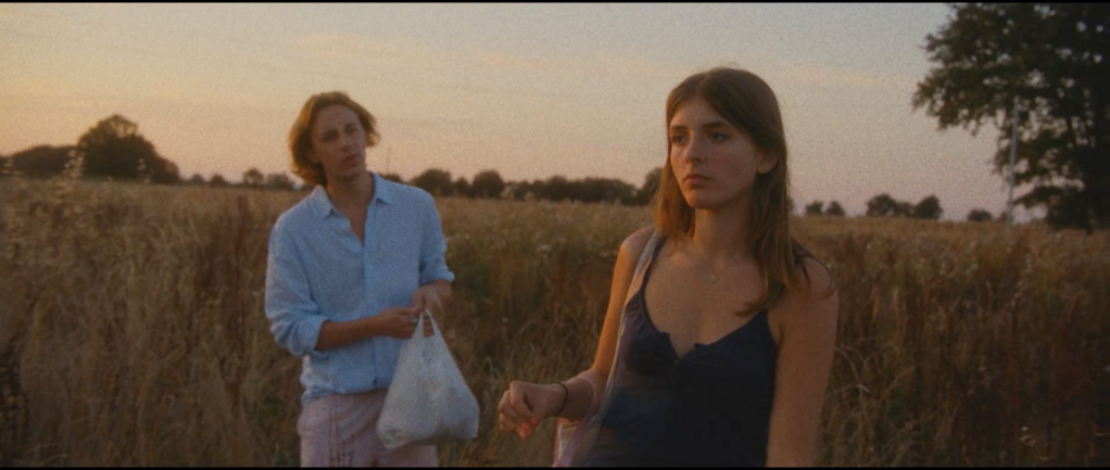 Les Papillons Les Papillons