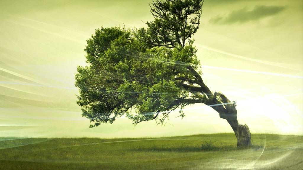 The Wind, The Breath of the Earth - © SOLENT Production - TERRANOA The Wind, The Breath of the Earth - © SOLENT Production - TERRANOA