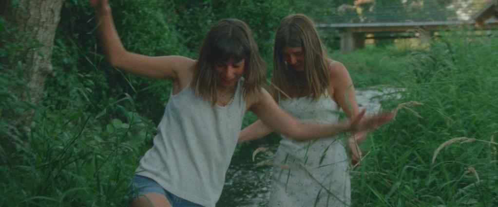 Les Papillons Les Papillons