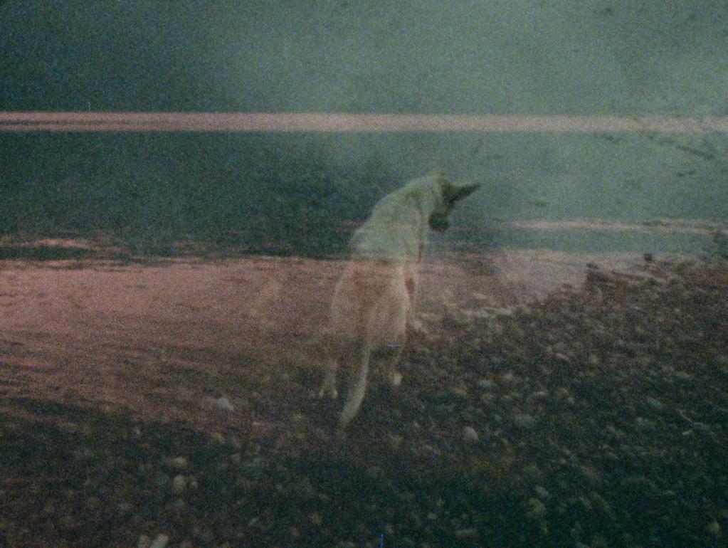 The Departing Images The Departing Images