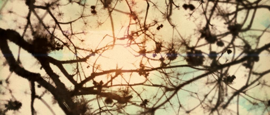 Cadavre exquis Cadavre exquis