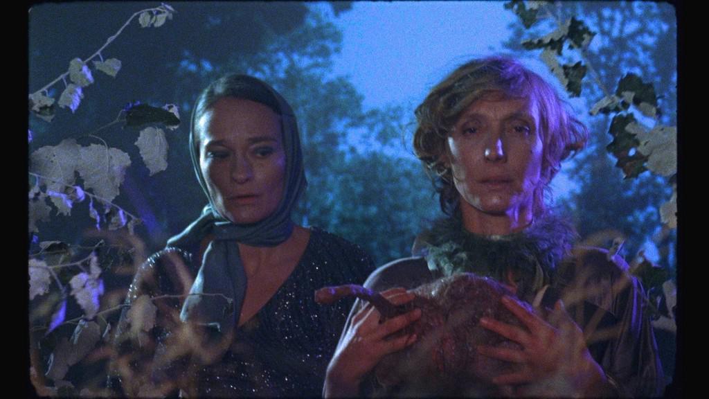 Notre-Dame des hormones Notre-Dame des hormones