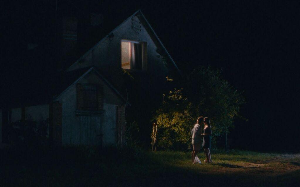 Les Papillons Les Papillons