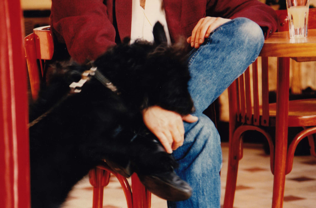 A Portrait A Portrait