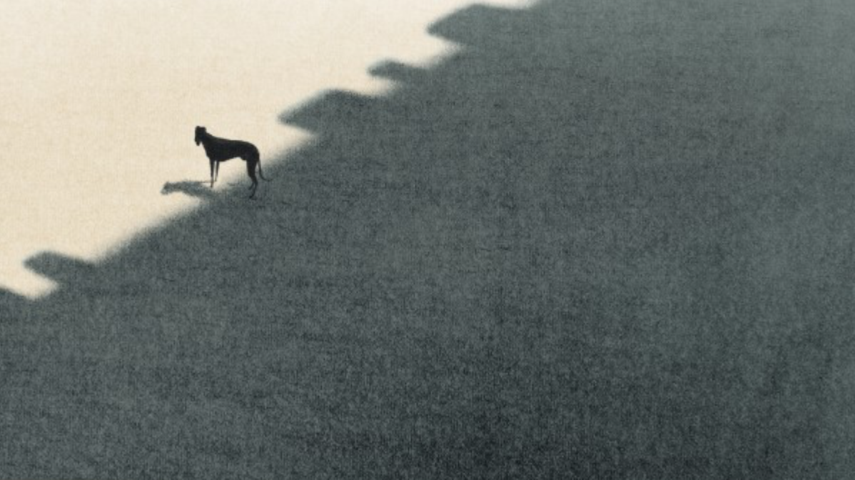 Francia brilla en el palmarés de Annecy - Périphéria Francia brilla en el palmarés de Annecy - Périphéria