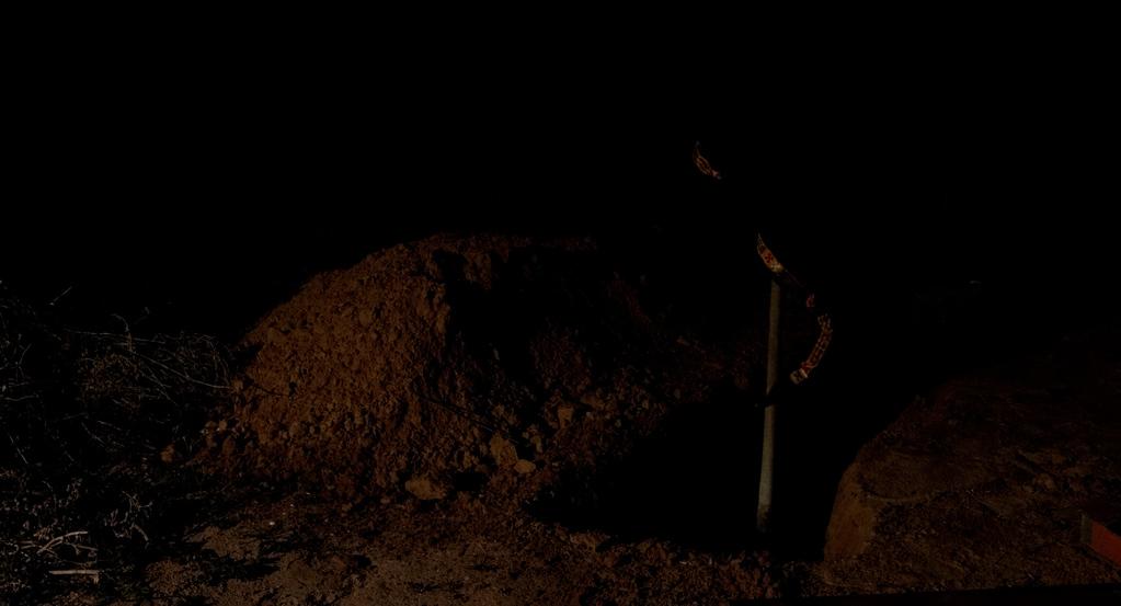 Nous le savions qu’elles étaient belles, les îles Nous le savions qu’elles étaient belles, les îles