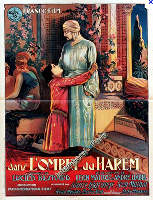Dans l'ombre du harem Dans l'ombre du harem