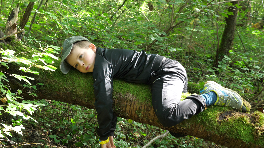 La Forêt, c'est la classe ! La Forêt, c'est la classe !