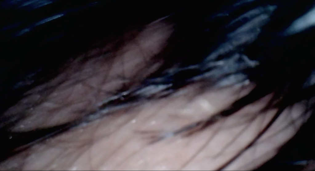 Stolen Party Sex Video Stolen Party Sex Video