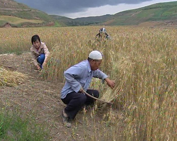 Sichuan Radio & Television