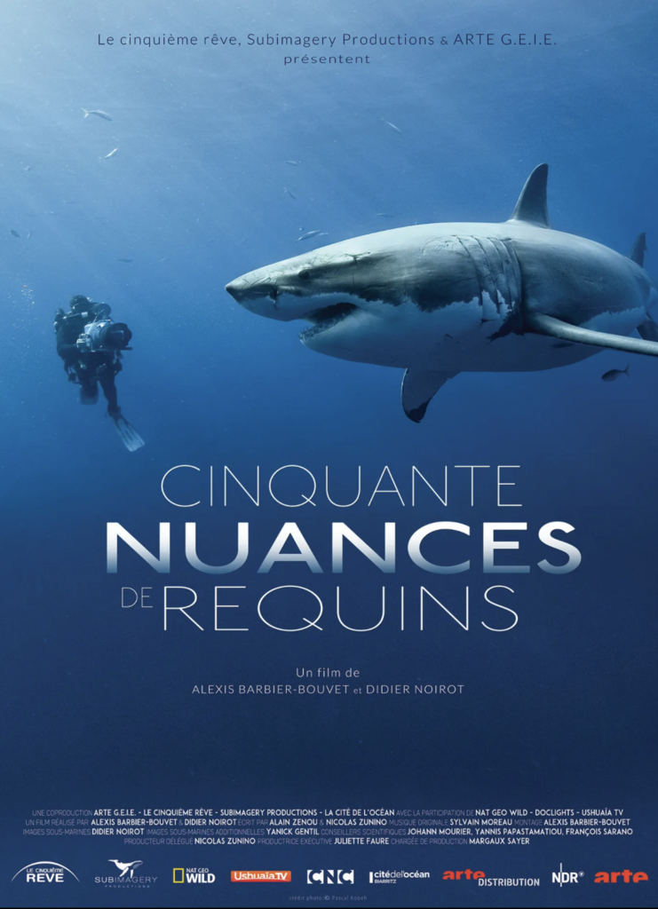 Cinquante nuances de requins Cinquante nuances de requins