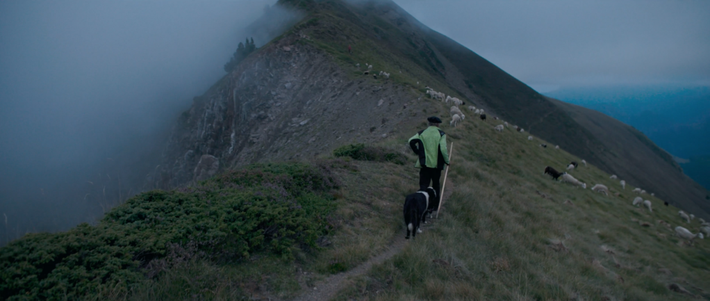 The Shepherd and the Bear - &copy; Salthill Films - WILLA