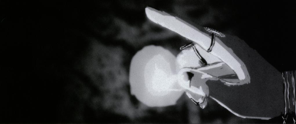 Festival Internacional de Cortometrajes de S&atilde;o Paulo - 2024