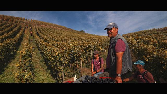Yellow Bandini Production - © Andana Films Yellow Bandini Production - © Andana Films