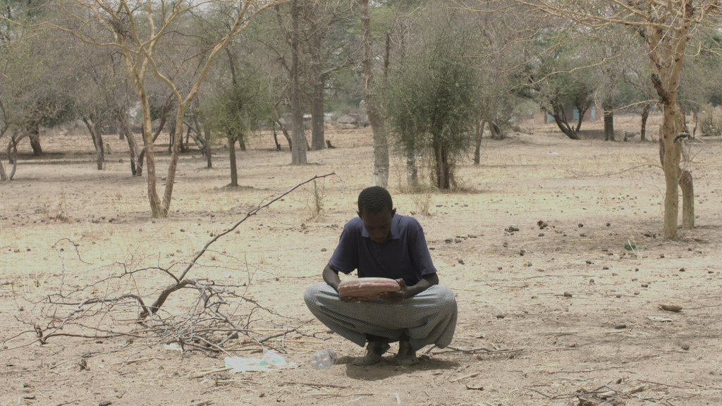 The Precious Stone The Precious Stone