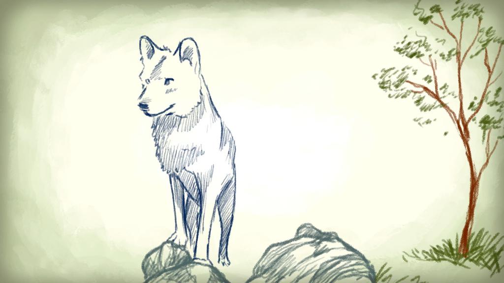 A Walk in the Woods A Walk in the Woods