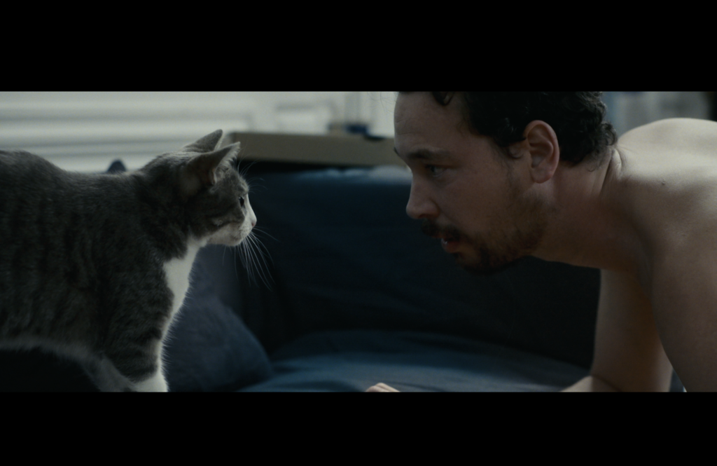 Rabibocher Rabibocher