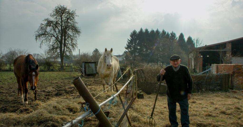 Brussels Short Film Festival (BSFF) - 2019