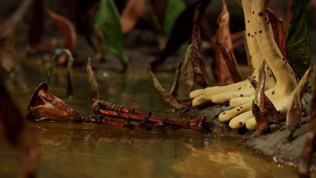 Singing Frogs Singing Frogs