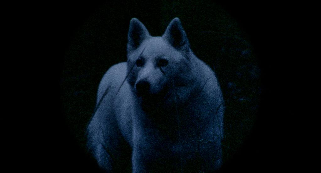 El gran movimiento - © Socavón - Altamar films El gran movimiento - © Socavón - Altamar films