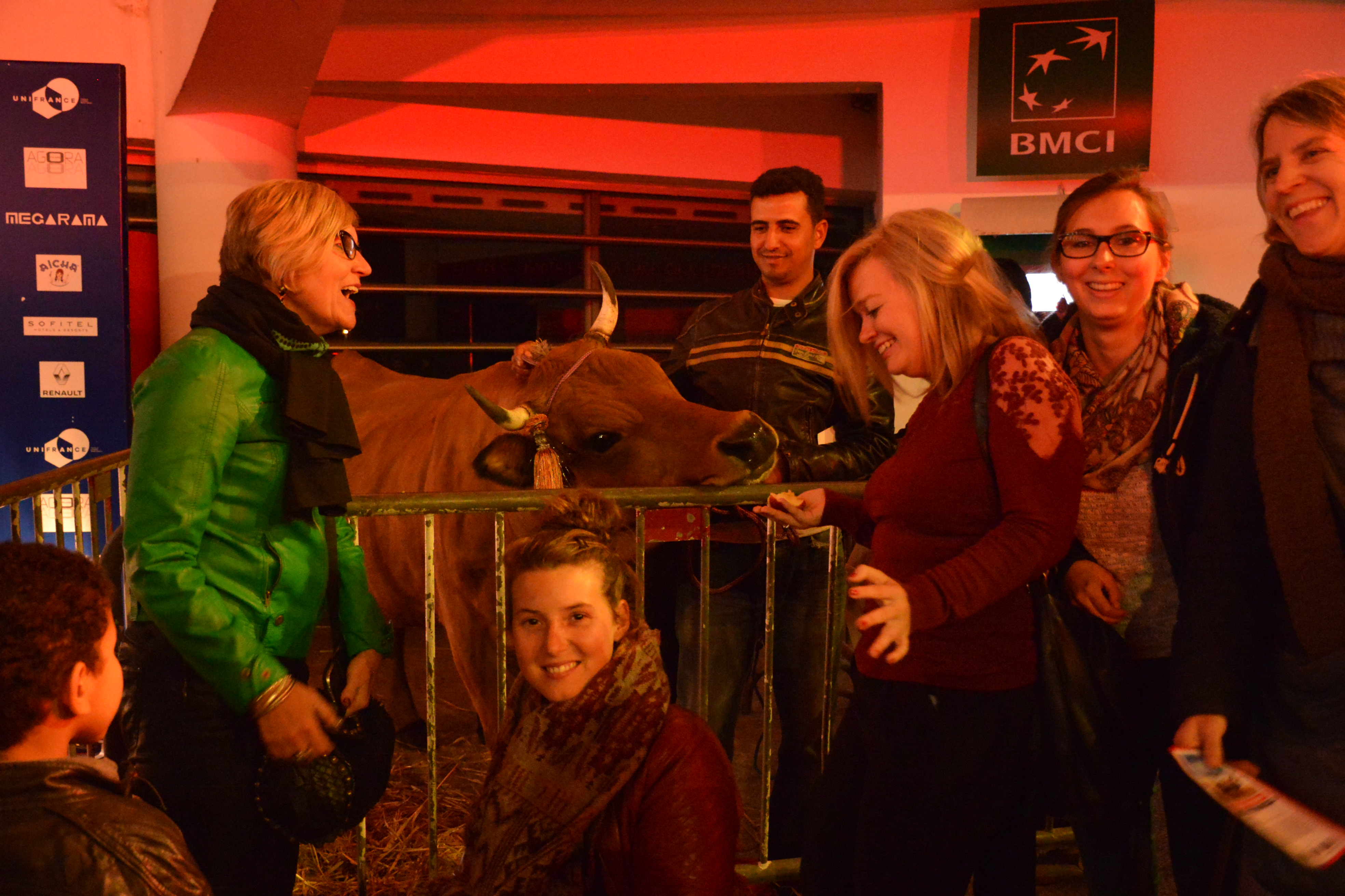 Belle ouverture pour le 1er Festival du Cinéma Français au Maroc - La vache Jacqueline, star de la soirée Belle ouverture pour le 1er Festival du Cinéma Français au Maroc - La vache Jacqueline, star de la soirée