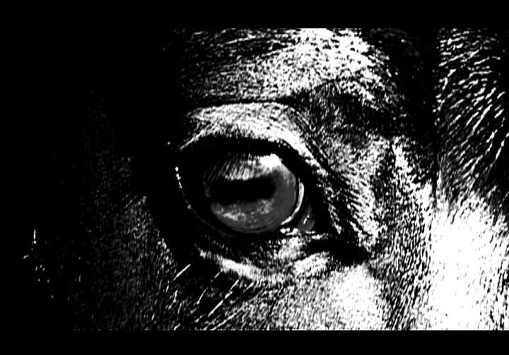 Pétrochimie Pétrochimie