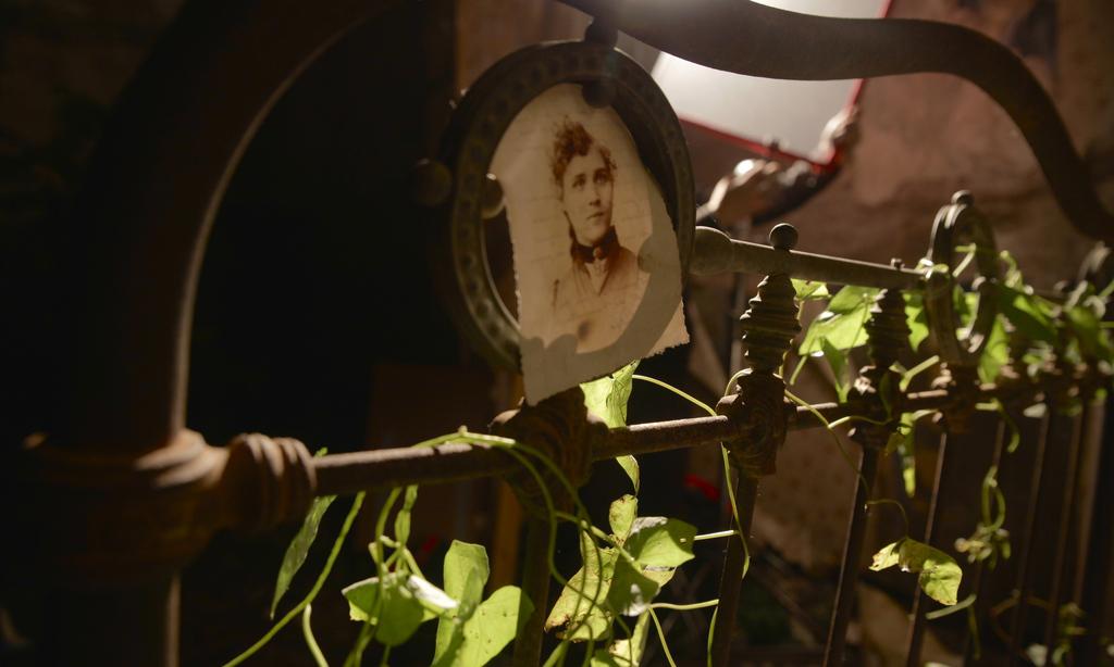 French Spring Festival in Ukraine - 2015