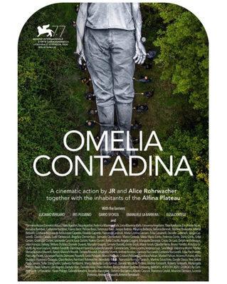 Omelia Contadina Omelia Contadina