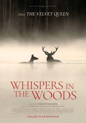 Whispers in the Woods - Netherlands
