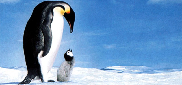 Etude sur le documentaire français à l’international (2004-2013) Etude sur le documentaire français à l’international (2004-2013)