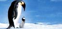 Study on French documentaries abroad (2004-2013) Study on French documentaries abroad (2004-2013)