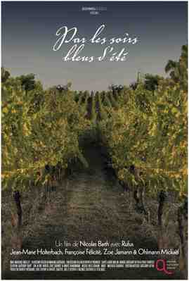 Through Blue Summer Nights Through Blue Summer Nights