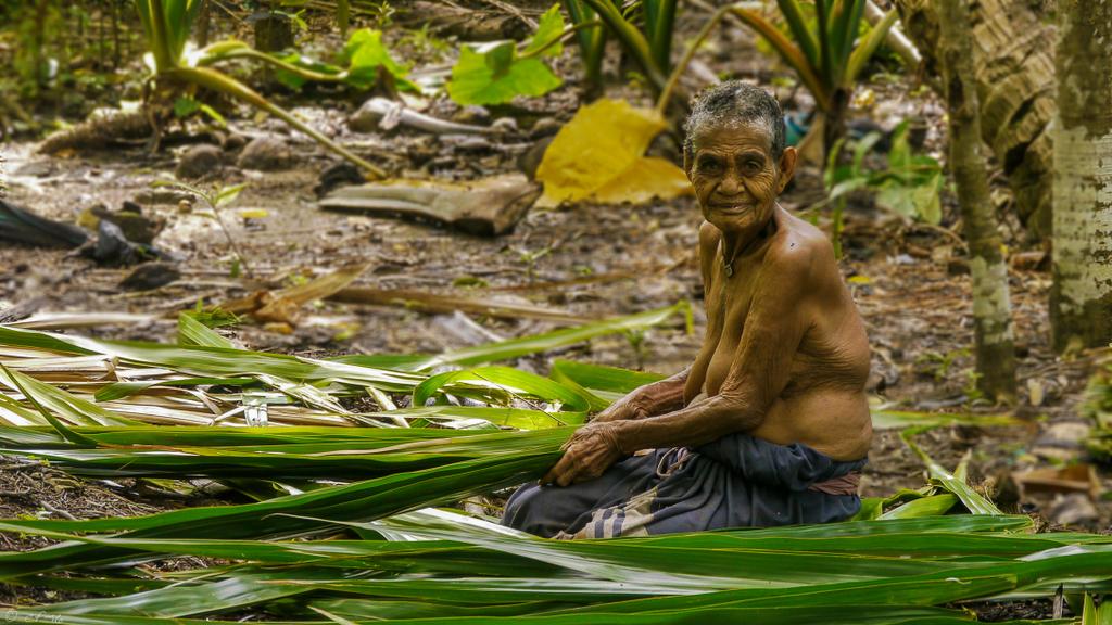 Nous, Tikopia Nous, Tikopia